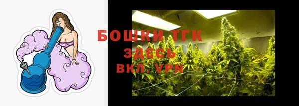 стаф Аркадак