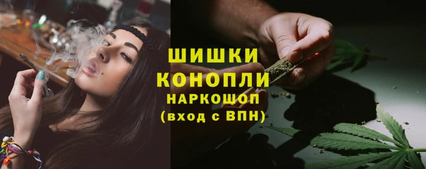 стаф Аркадак