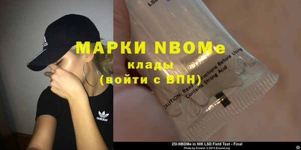стаф Аркадак
