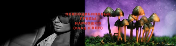 Альфа ПВП Арсеньев