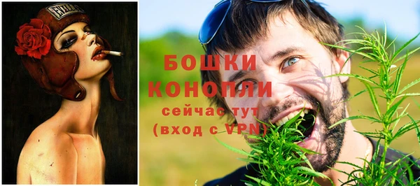 стаф Аркадак