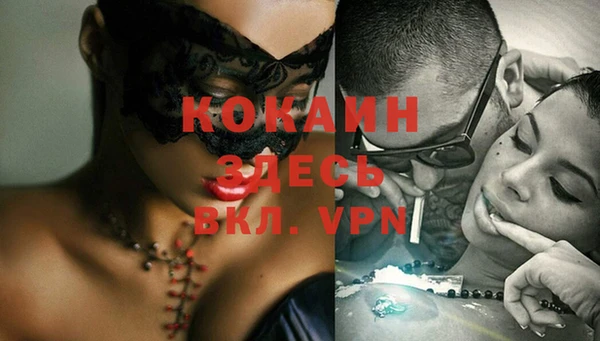 стаф Аркадак