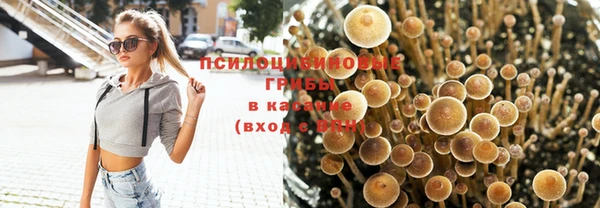 Альфа ПВП Арсеньев