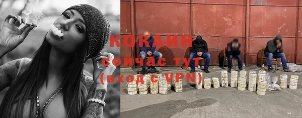стаф Аркадак