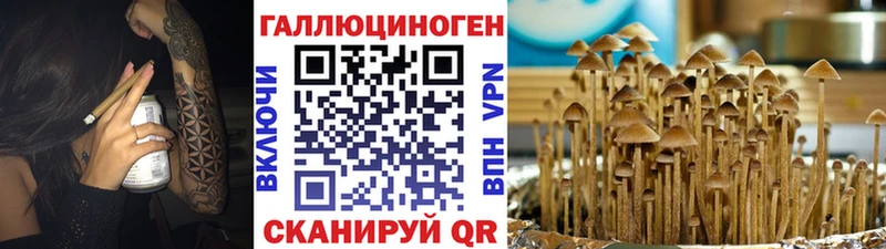Купить где  Вуктыл  Галлюциногенные грибы Psilocybine cubensis 